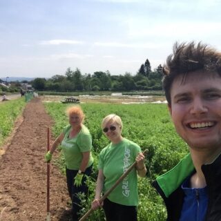 Blühstreifen Kassel