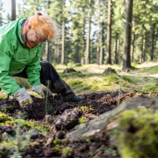 Zukunftswaldwoche Unterschönau 2023