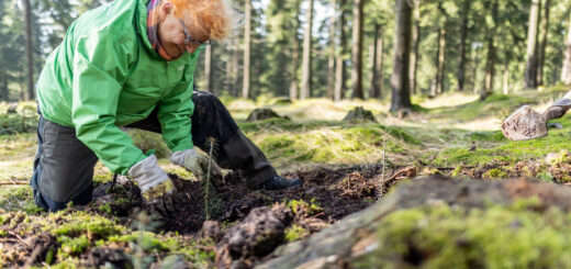 Zukunftswaldwoche Unterschönau 2023